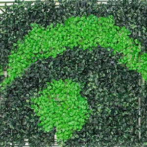Grass