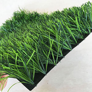 Grass