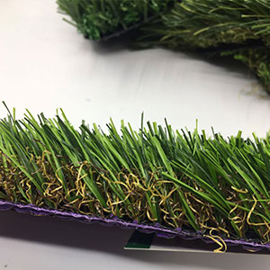 Grass