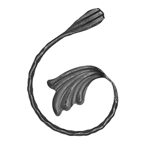C  S scroll
